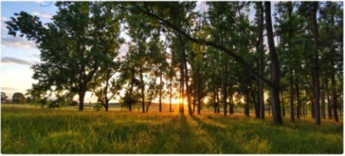 All Seasons Country Lodge Taree Kültér fotó