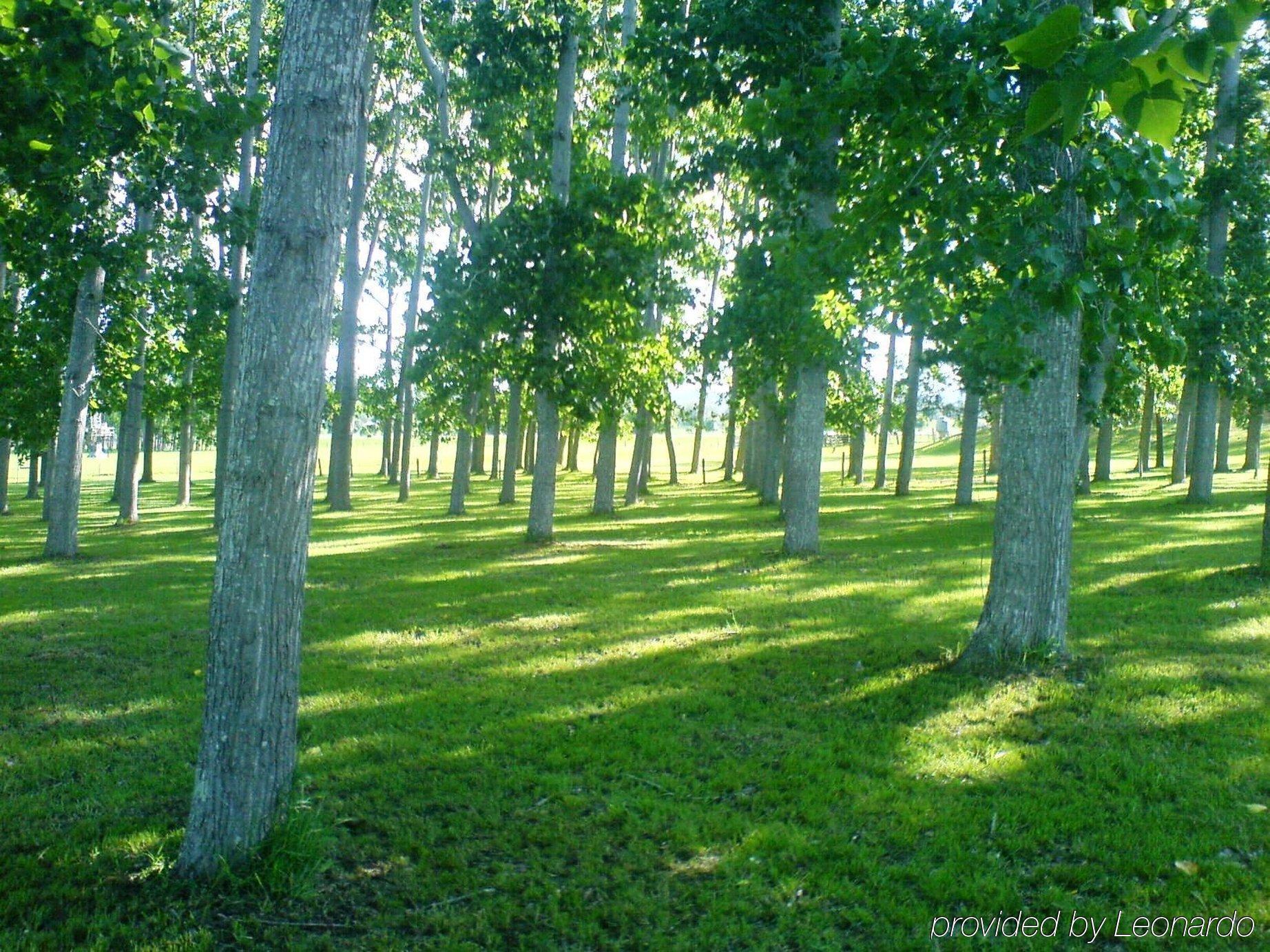 All Seasons Country Lodge Taree Kültér fotó